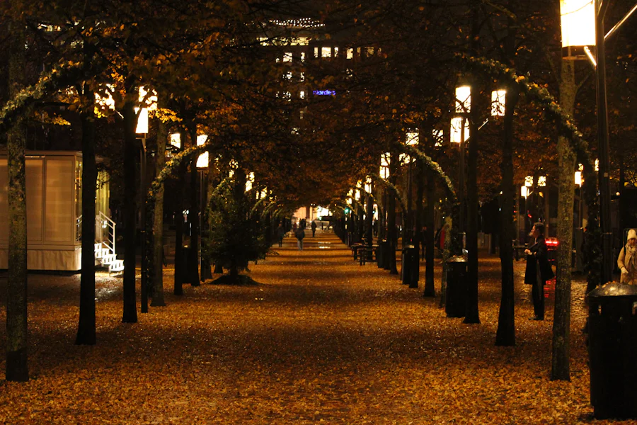 Stockholm – höst/vinter aktiviter